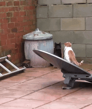 7d95c4561b38707aa2df795a832d9261_1761112764_8981.gif