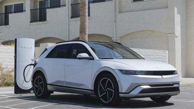 2043007468b19054191716879c273c96_1762673424_29.jpg 2043007468b19054191716879c273c96_1762673424_29.jpg