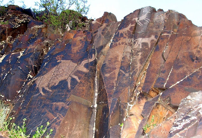 2043007468b19054191716879c273c96_1762680156_6832.jpg 2043007468b19054191716879c273c96_1762680156_6832.jpg