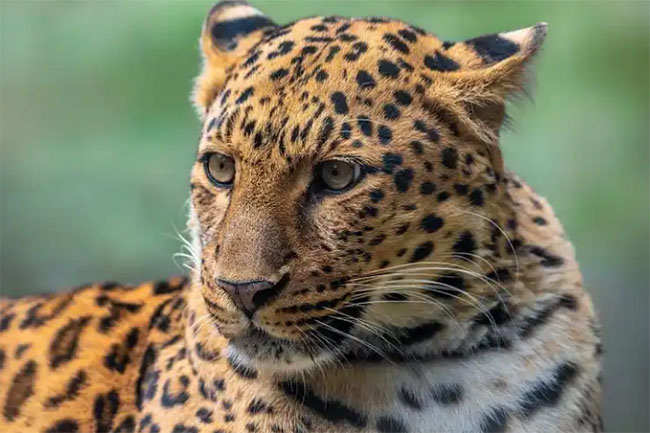 366db043d1925ca8597c0860e332a5ad_1762054424_6292.jpg 366db043d1925ca8597c0860e332a5ad_1762054424_6292.jpg