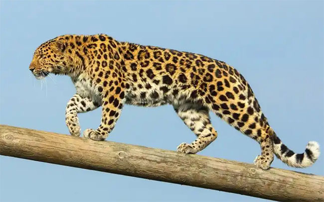 366db043d1925ca8597c0860e332a5ad_1762054445_4682.jpg 366db043d1925ca8597c0860e332a5ad_1762054445_4682.jpg