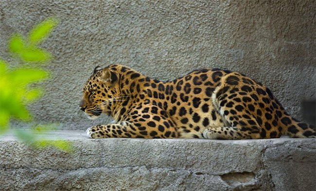 366db043d1925ca8597c0860e332a5ad_1762054492_7586.jpg 366db043d1925ca8597c0860e332a5ad_1762054492_7586.jpg