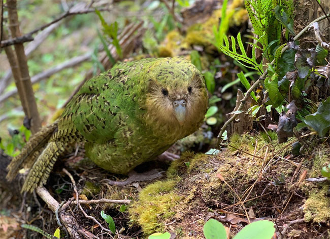 7fa41d00ce3a2886a37883988de9eba2_1762833166_0696.jpg 7fa41d00ce3a2886a37883988de9eba2_1762833166_0696.jpg