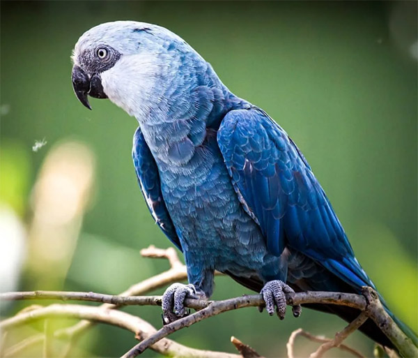 7fa41d00ce3a2886a37883988de9eba2_1762833292_9192.jpg 7fa41d00ce3a2886a37883988de9eba2_1762833292_9192.jpg