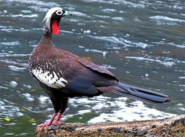 7fa41d00ce3a2886a37883988de9eba2_1762833379_1141.jpg 7fa41d00ce3a2886a37883988de9eba2_1762833379_1141.jpg