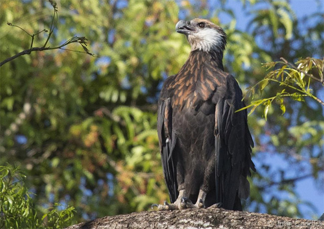 7fa41d00ce3a2886a37883988de9eba2_1762833467_6367.jpg 7fa41d00ce3a2886a37883988de9eba2_1762833467_6367.jpg