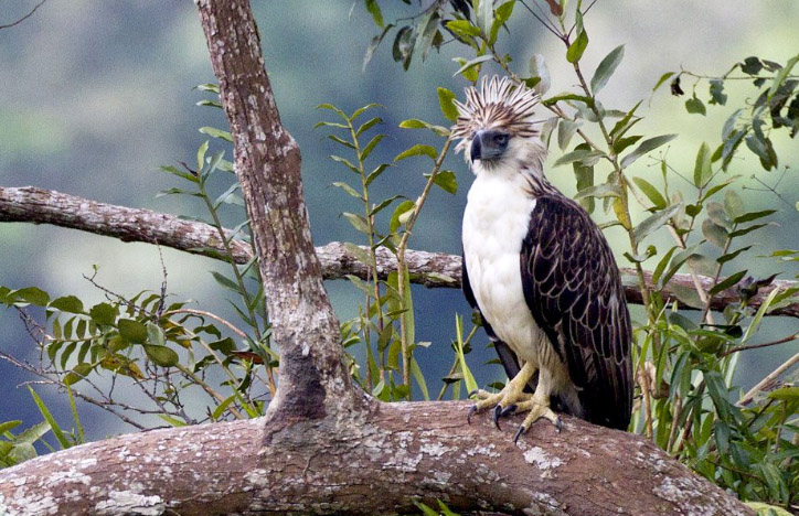 7fa41d00ce3a2886a37883988de9eba2_1762833540_3811.jpg 7fa41d00ce3a2886a37883988de9eba2_1762833540_3811.jpg