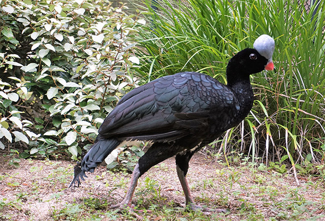 7fa41d00ce3a2886a37883988de9eba2_1762833623_3972.jpg 7fa41d00ce3a2886a37883988de9eba2_1762833623_3972.jpg