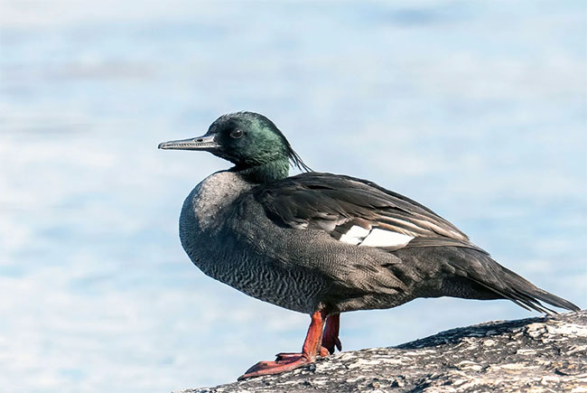 7fa41d00ce3a2886a37883988de9eba2_1762833781_9208.jpg 7fa41d00ce3a2886a37883988de9eba2_1762833781_9208.jpg