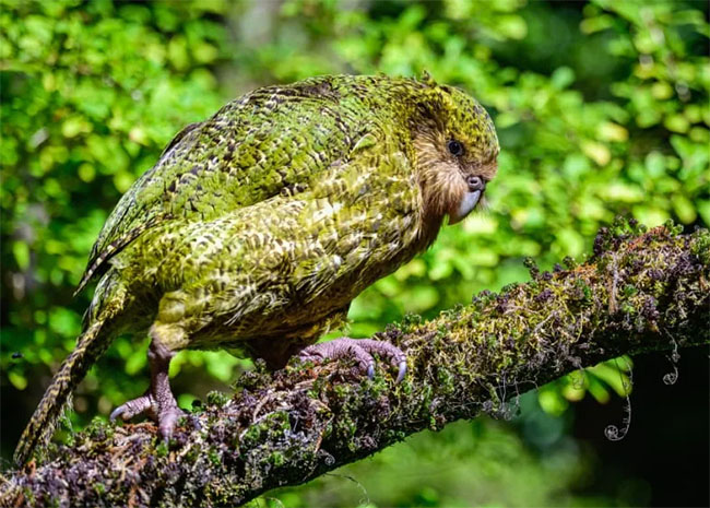 7fa41d00ce3a2886a37883988de9eba2_1762833867_8343.jpg 7fa41d00ce3a2886a37883988de9eba2_1762833867_8343.jpg