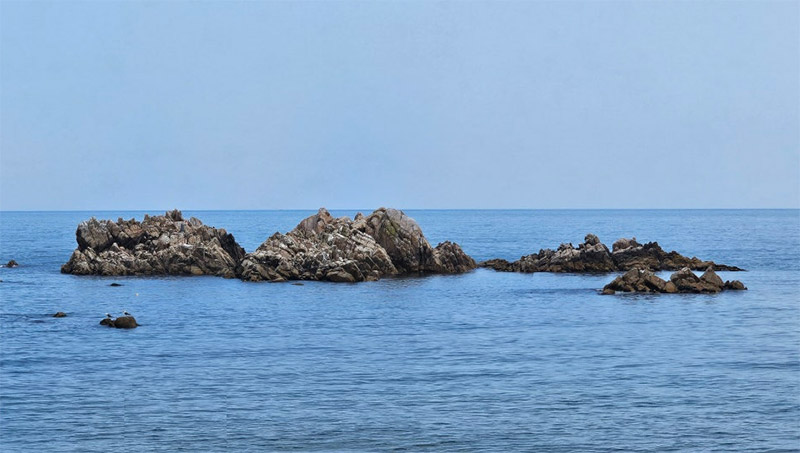 b5a02b46de51ddc816adb881b83260ee_1763641634_2928.jpg b5a02b46de51ddc816adb881b83260ee_1763641634_2928.jpg